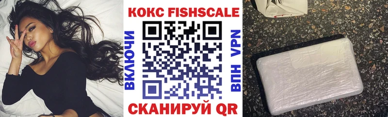 закладка  Приморск  Кокаин Fish Scale 