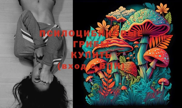 mdpv Алексин