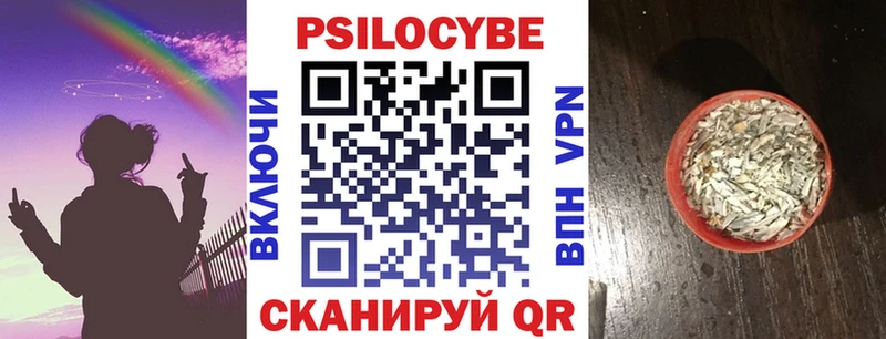 Псилоцибиновые грибы мицелий  Приморск 